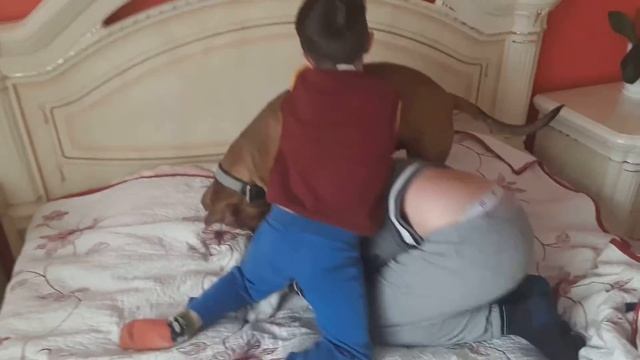 ПРИКОЛЬНЫЕ ЖИВОТНЫЕ Топ ПОДБОРКА ОКТЯБРЬ 2018