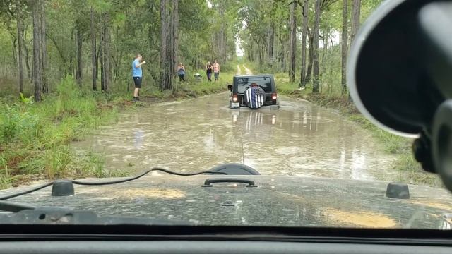 Citrus WMA Inverness Fl Trail 16 recovery