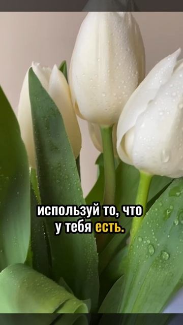 Начни там, где ты есть