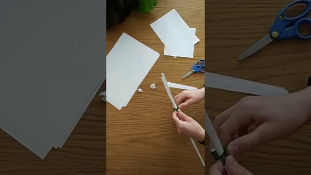 Топ 3 игрушки для Котика