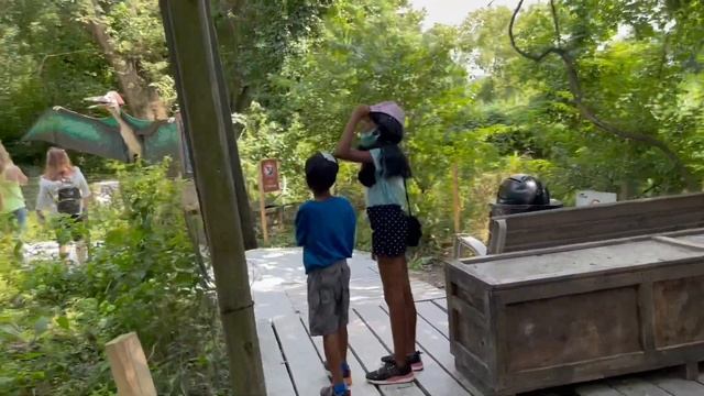 A visit to Dinosaur Park NJ USA | Lily blooms