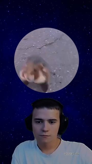 1000004145.mp4