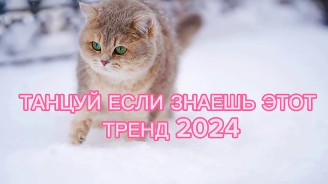💗💗💗ТАНЦУЙ ЕСЛИ ЗНАЕШЬ ЭТОТ ТРЕНД 2023-2024💗💗💗