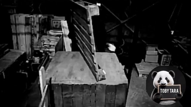 Будь яка тара від ТОВ Тобі Тара