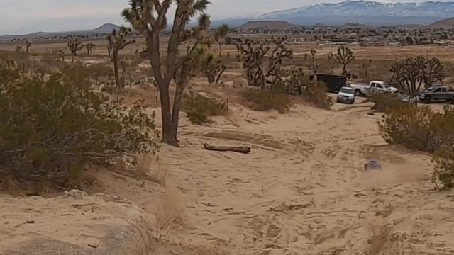Traxxas Xmaxx at Sandy butt Crack did it survive? The sandy dunes in the desert 🌵