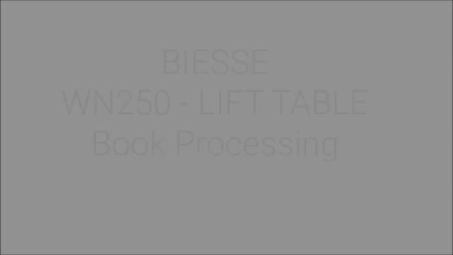 #BIESSE #SELCO #WN250_Lift_Table (подъемный стол)