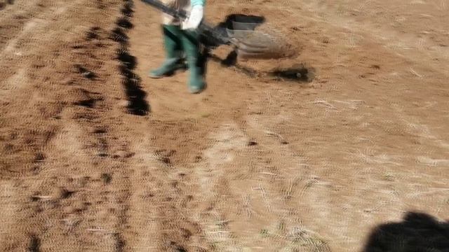 пашем огород с помощью электрического культиватора