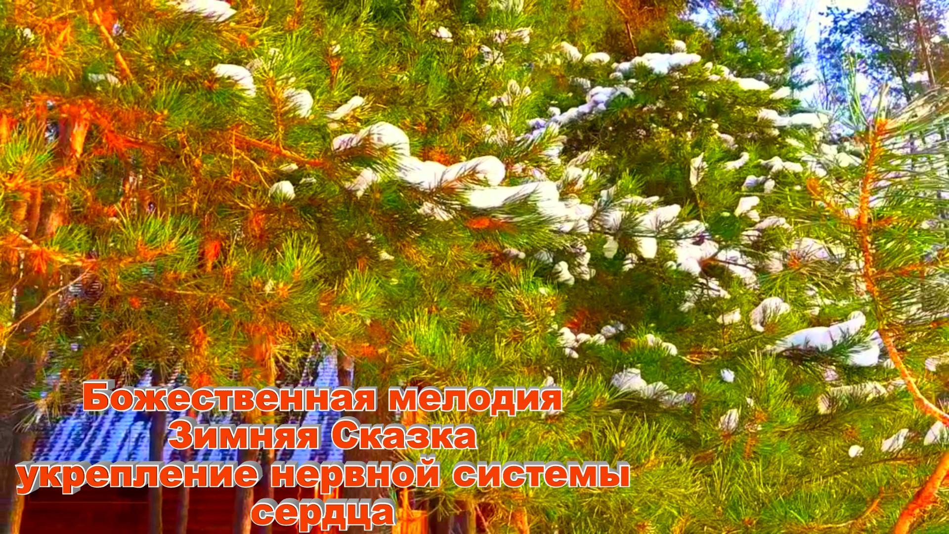 Божественная Музыка Зимняя Сказка релакс для укрепления нервной системы и сердца