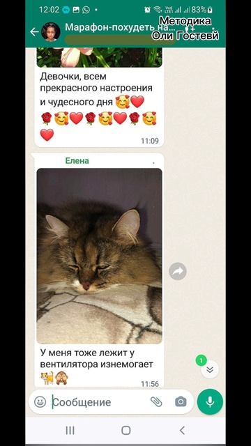 Марафон, чат ♡ Похудеть.
Марафон. Меню.