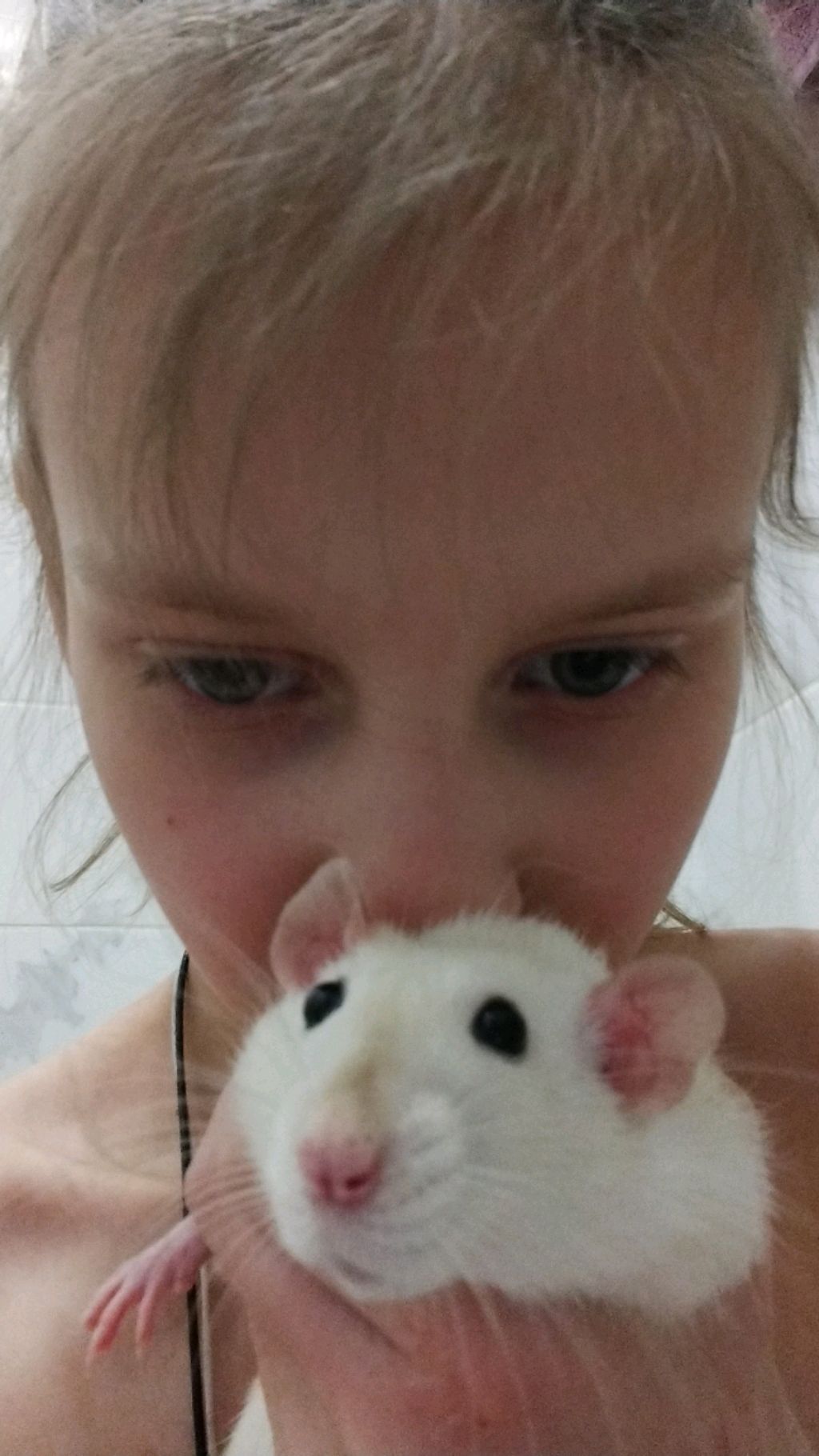 привет