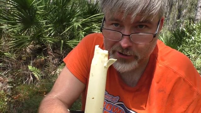 Saw Palmetto Swamp Cabbage