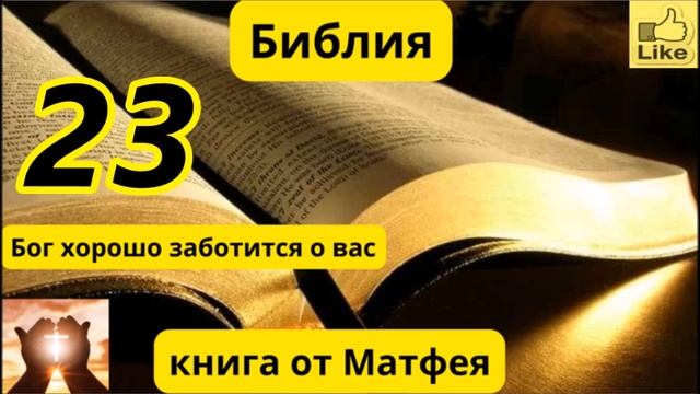 Глава 23 Мэтью