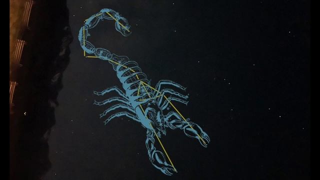 Scorpius Sky