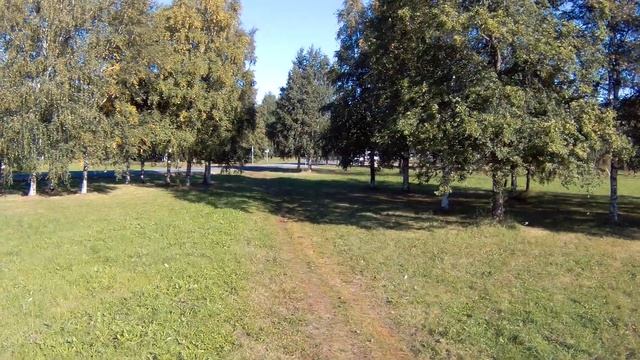Деревья в парке, K7, 2022