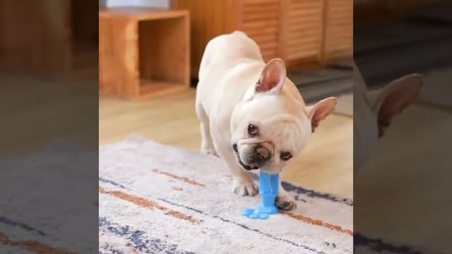 Dog Toothbrush Chewing Silicone Toy