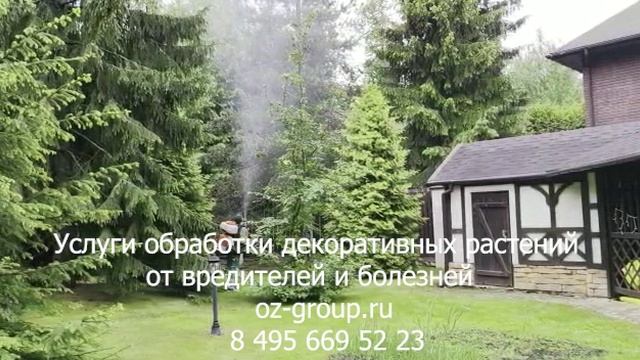 Услуги обработки декоративных растений от вредителей и болезней. Выезд Агрономов по Москве, области