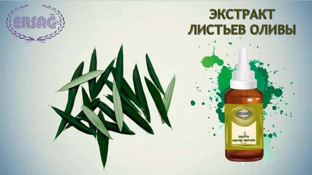 Эрсаг экстракт листьев Оливы Очистка, профилактика оливой Ersag