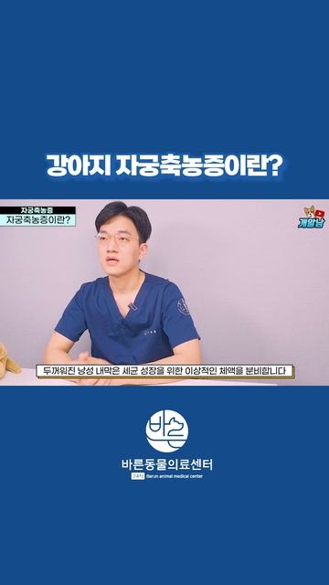 강아지 자궁축농증이란? #shorts