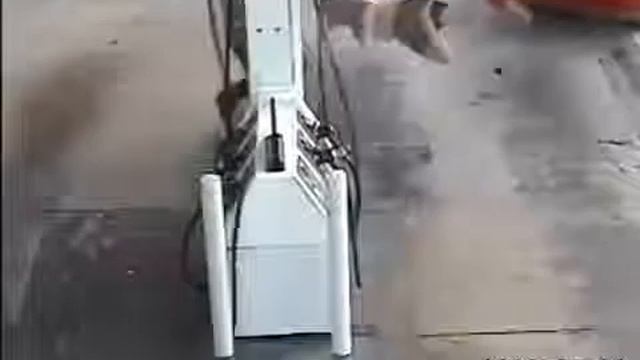 Жесть! Случай на заправке