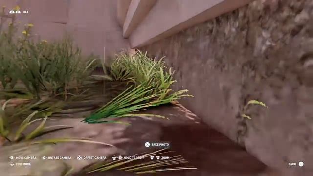 Assassin's Creed® Origins glitch 1