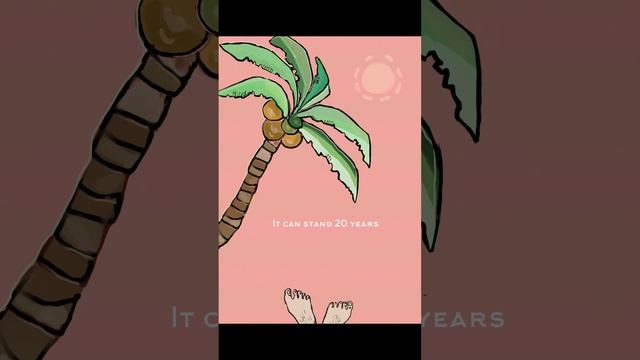 The Coconut song. 코코넛송