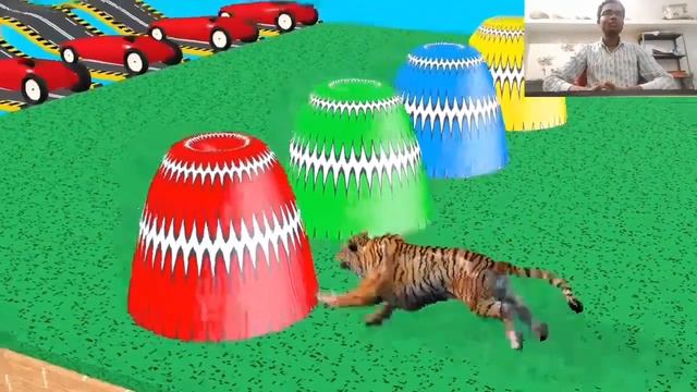 Long Slide Game With Elephant Gorilla Buffalo Hippopotamus Tiger - 3d Animal Game - Funny 3d Animal