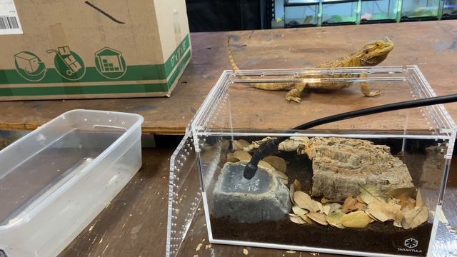 Rosey gets a new House!