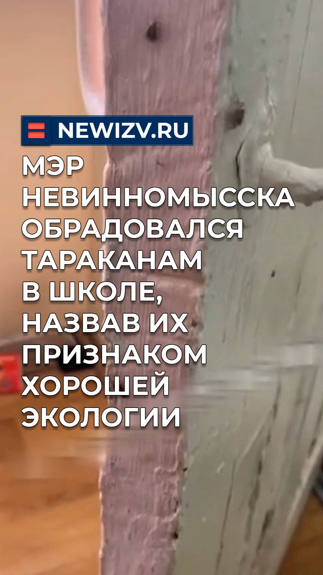 Мэр Невинномысска обрадовался тараканам в школе, назвав их признаком хорошей экологии