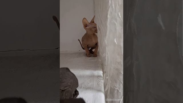 1000014501.mp4