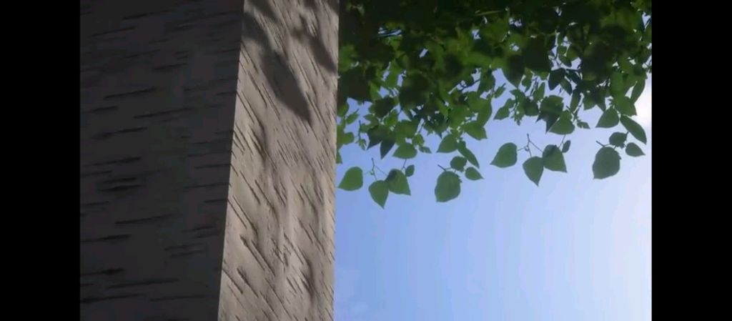 заходи на стрим