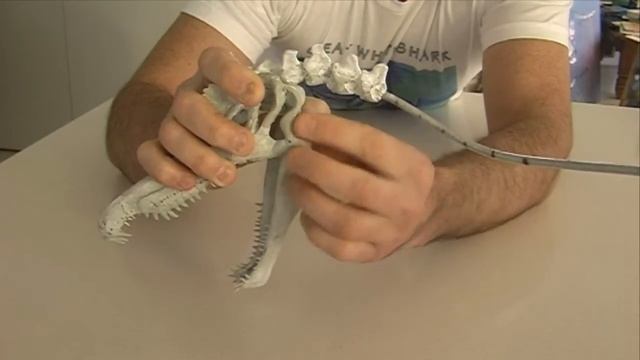 Spinosaurus Sculpture 2