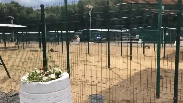 Меня и Энни цапнула Анфиса.