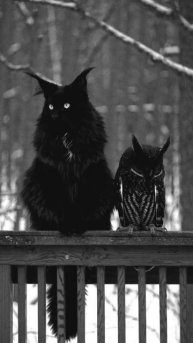 Ромео и Джульетта