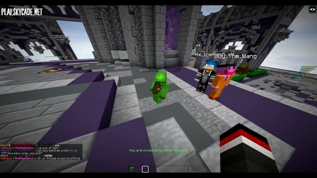 GIVING A MINECRAFT HACKER YOUTUBE RANK!