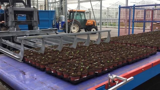 Буферный транспортер модели BUFFERPOS, URBINATI Srl