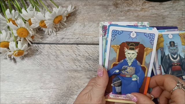 распаковка китайских колод 🎎🃏