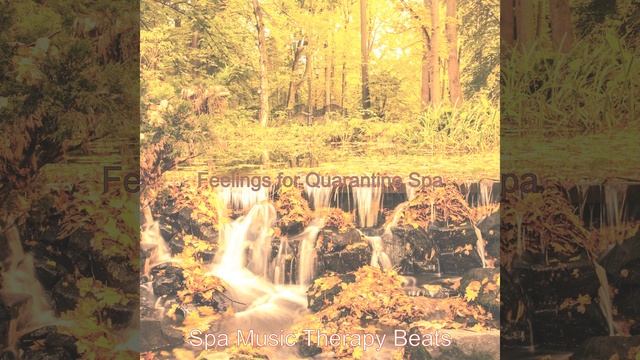 Relaxing Harp and Koto - Vibe for Meditation Therapy