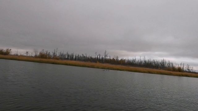 Осенняя охота на уток в Якутии