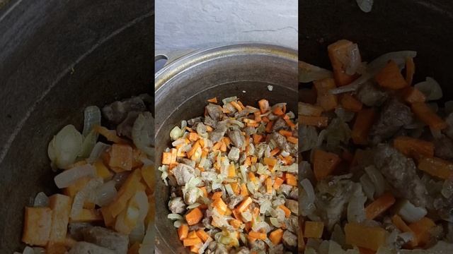 1000003442.mp4
Перловая каша с мясом и овощами