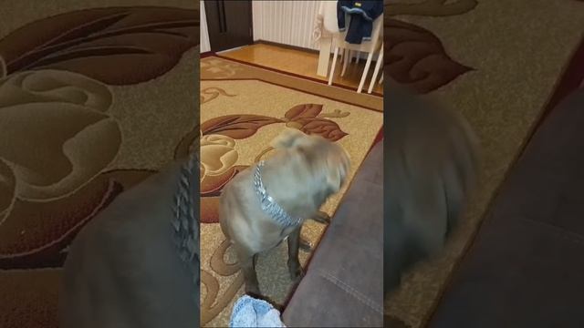 А вот и наша Тучка