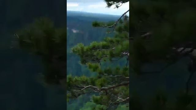 Адыгея