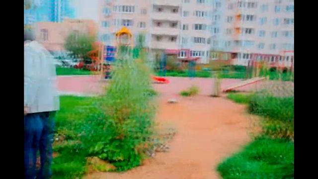 Акция Наш лес-посади свое дерево в Микрорайоне НаСвязистов г.Краснознаменска!