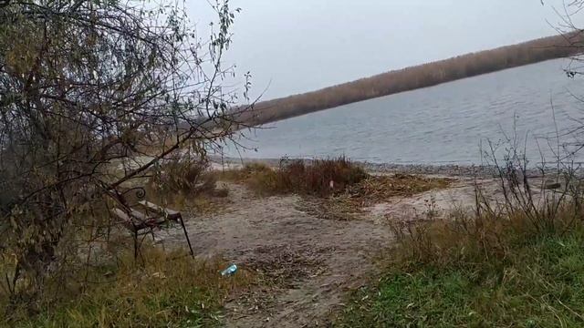 Утренняя прогулка.