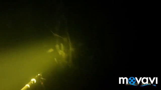 #Щукапокусала подвоха, слабонервным несмотреть...
