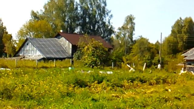 Рябинка