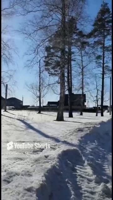 10 февраля 2025 г.