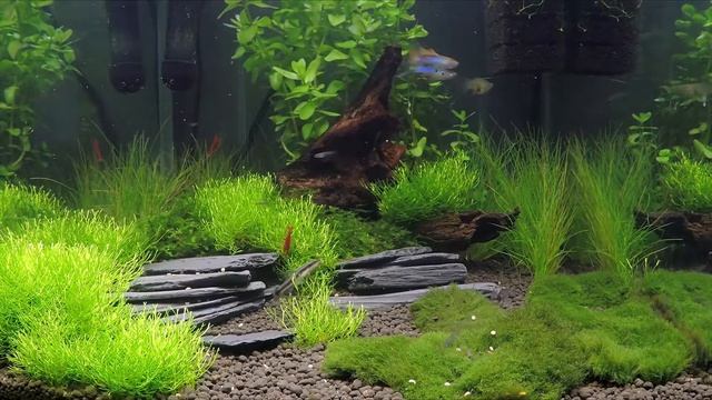 Aqua View - 01 - 15 MINS / 60FPS