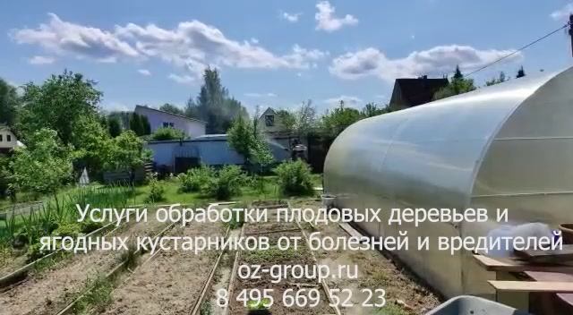 Услуги обработки плодовых деревьев и ягодных кустарников от вредителей и болезней. Выезд Агрономов.
