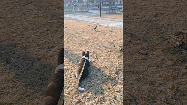 1000055684.mp4