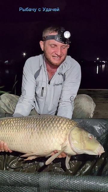 Не думал что я так эмоционально разговариваю с рыбами 🤣